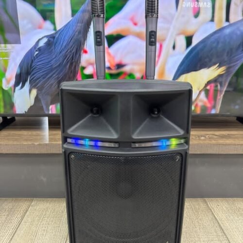 WIRELESS PARTY SPEAKER INNOVA -15VDC / 2A - DC 12V - 2 Microphones - IN-307